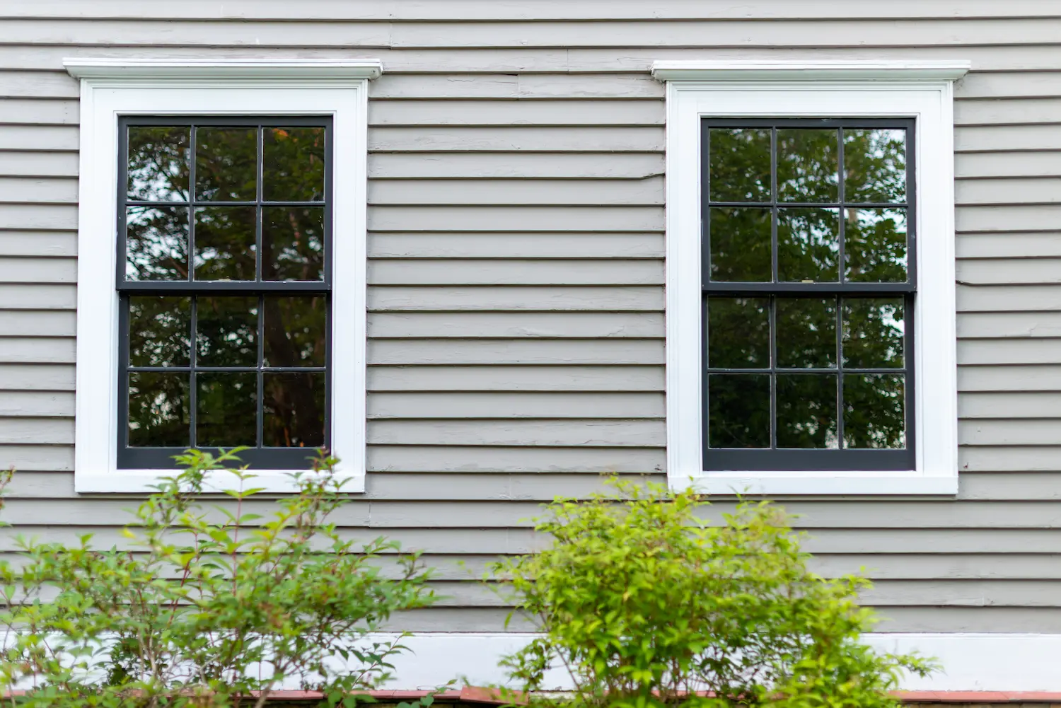 Double-Hung Windows